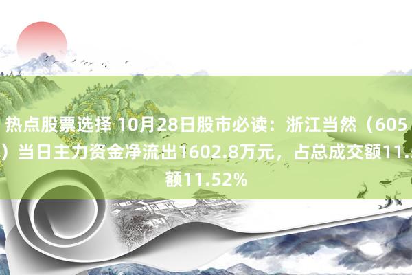 热点股票选择 10月28日股市必读：浙江当然（605080）当日主力资金净流出1602.8万元，占总成交额11.52%