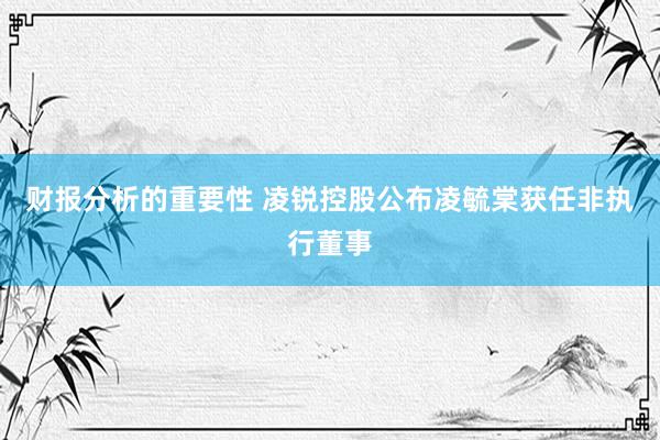 财报分析的重要性 凌锐控股公布凌毓棠获任非执行董事