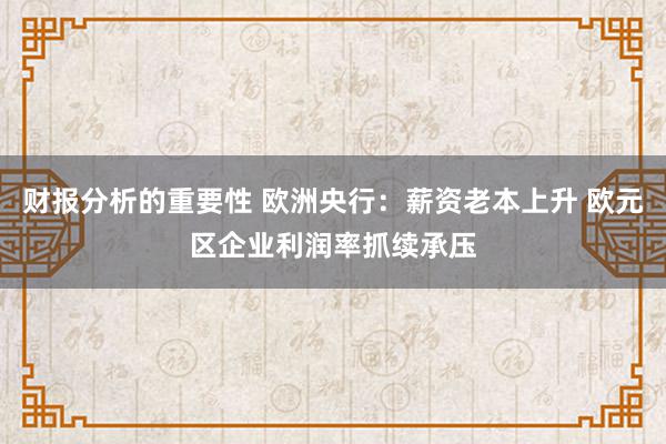 财报分析的重要性 欧洲央行：薪资老本上升 欧元区企业利润率抓续承压