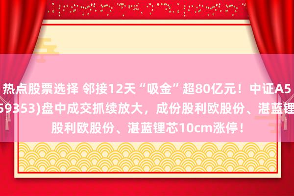 热点股票选择 邻接12天“吸金”超80亿元！中证A500ETF景顺(159353)盘中成交抓续放大，成份股利欧股份、湛蓝锂芯10cm涨停！