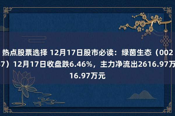 热点股票选择 12月17日股市必读：绿茵生态（002887）12月17日收盘跌6.46%，主力净流出2616.97万元