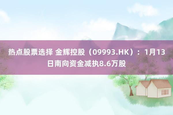 热点股票选择 金辉控股（09993.HK）：1月13日南向资金减执8.6万股