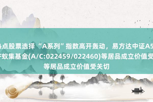 热点股票选择 “A系列”指数高开轰动，易方达中证A500ETF蚁集基金(A/C:022459/022460)等居品成立价值受关切