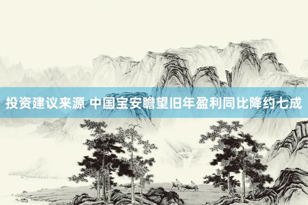 投资建议来源 中国宝安瞻望旧年盈利同比降约七成