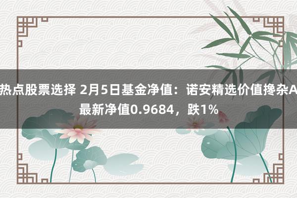 热点股票选择 2月5日基金净值：诺安精选价值搀杂A最新净值0.9684，跌1%