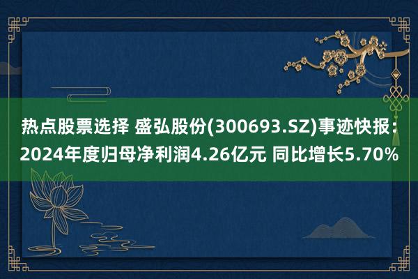 热点股票选择 盛弘股份(300693.SZ)事迹快报：2024年度归母净利润4.26亿元 同比增长5.70%