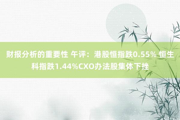 财报分析的重要性 午评：港股恒指跌0.55% 恒生科指跌1.44%CXO办法股集体下挫