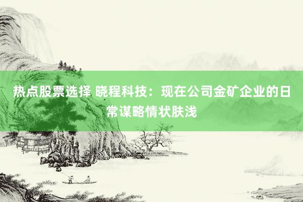 热点股票选择 晓程科技：现在公司金矿企业的日常谋略情状肤浅