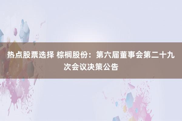 热点股票选择 棕榈股份：第六届董事会第二十九次会议决策公告