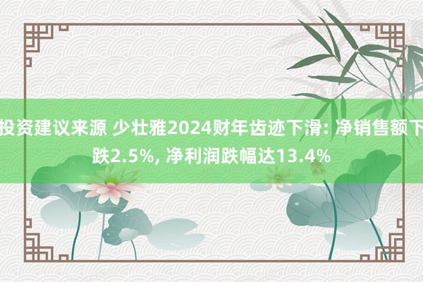 投资建议来源 少壮雅2024财年齿迹下滑: 净销售额下跌2.5%, 净利润跌幅达13.4%